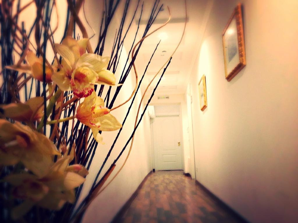Bed & Breakfast Residenza Domiziano Rom